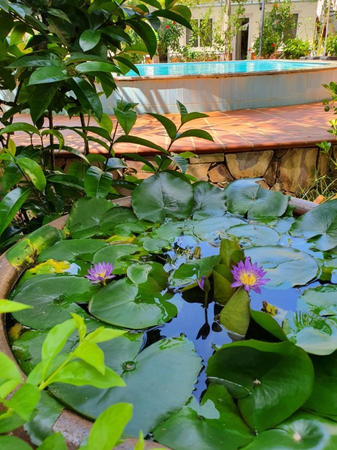 Blue Paradise Bungalow دونغ دونغ المظهر الخارجي الصورة
